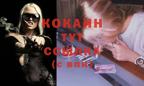 амф Арсеньев