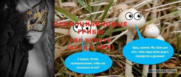 амф Арсеньев