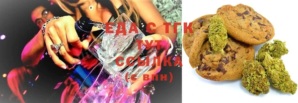 стаф Инта