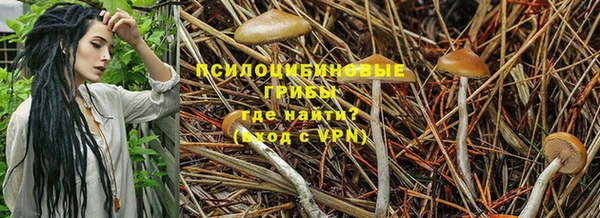 амф Арсеньев