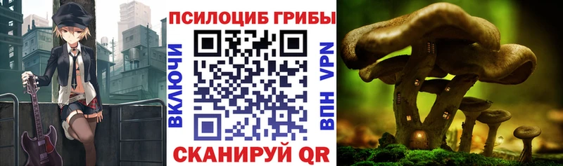 Псилоцибиновые грибы мухоморы  Спасск-Дальний 